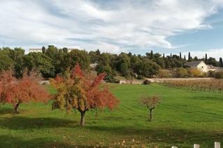Racconto di Puglia - Selva di Fasano - 0