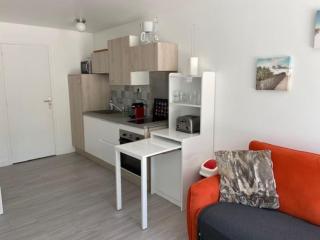 La Garrigue, au milieu des pins maritimes... - 4