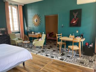 La Maison aux murs anciens et ses chambres - Tarbes - 6