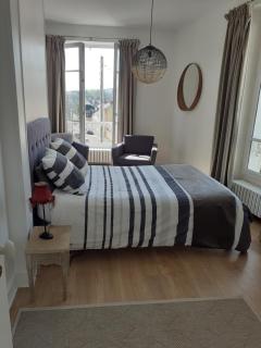 centre ville, chambre indépendante 20m2 et sa salle de bain privée - 6