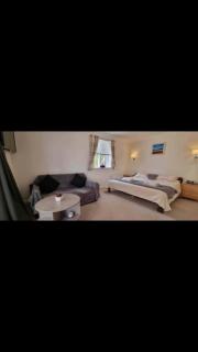 3 Bedroom Bungalow with great Sea Views, Private Hot Tub & Gardens - 4