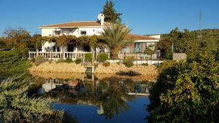 Casa Olivar B&B - Tocon - 0