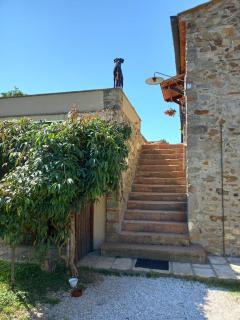 AU-RA Vegan B&B - Castagneto Carducci - 4