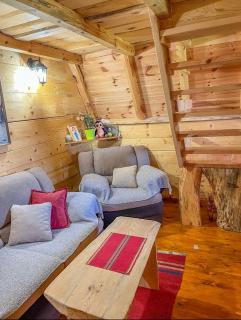 Cottage Bumblebee - Žabljak - 4
