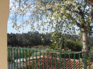 Redondo Lodges - Junceira - 6