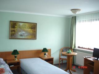 Pension zum Schwanenteich - Haldensleben - 7