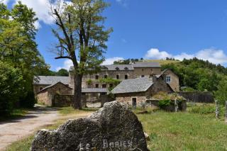 Les Distinguées -Aux Bories de Prévinquières - Recoules-Prévinquières - 0