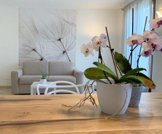 Casa Ulivi Bianco - Rivoltella - 3