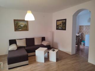 Apartman Banjica 1 - Sokobanja - 6