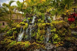 Grand Champions 60 condo - Wailea - 7