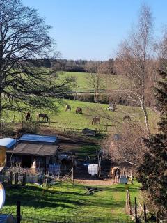 Ferienwohnung Classen Eifel - 3