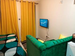 Comfy Haven -Rustic studio apartment in Donholm - Nairobi - 3