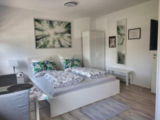 A Comfortable and Modern Newly Renovated Apartment - Mannheim - 0