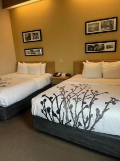 Spark by Hilton Lynchburg - 3