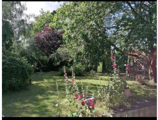 geräumiges 120m² Haus mit Garten + Stellplatz - Stralsund - 1