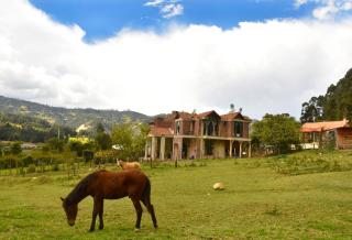 Hotel Campestre Villa Los Duraznos - Paipa - 9