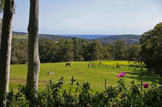 Wildwood Valley - Yallingup - 3