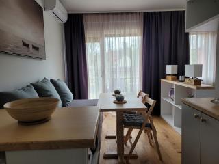 Apartman Ruža - Vrnjačka Banja - 9