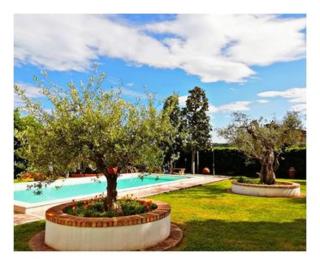 Villa Paola - Grottammare - 0