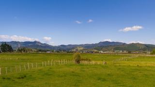 Blue Bach - Whitianga - 0