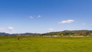 Blue Bach - Whitianga - 7