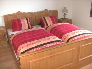 Ferienwohnung Rettenegger - Abtenau - 2
