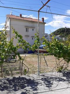 Apartments and rooms by the sea Kampor, Rab - 12473 - 2