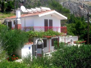 Apartments by the sea Cove Zarace - Dubovica, Hvar - 21007 - Hvar (Lesina) - 9