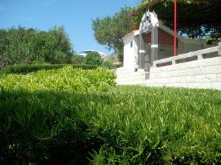 Apartments by the sea Cove Zarace - Dubovica, Hvar - 21007 - Hvar (Lesina) - 4
