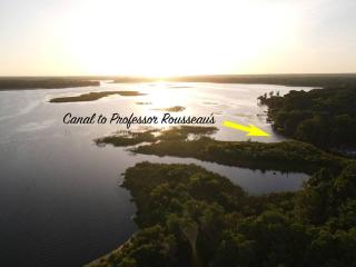 Professor Rousseau's Adventure Oasis - Crystal River - 9