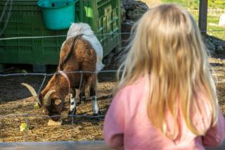 Domaine de Rambeau - 2