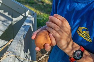 Domaine de Rambeau - 1