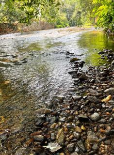 Pahiyan Huts by Luxury Experience - 2