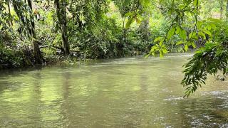 Pahiyan Huts by Luxury Experience - 1