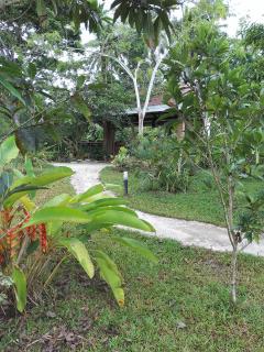 Forest garden residence - Bilar - 5