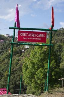 FOREST ACRES CAMPS - Mukteshwar - 1