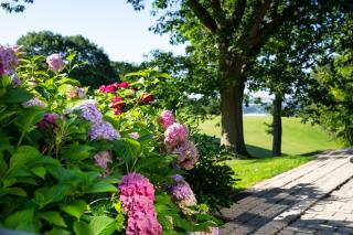 Skanderborg Park - Skanderborg - 0