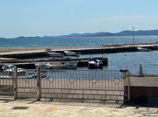 Seagull by the sea - Sukošan - 5