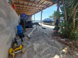 Seagull by the sea - 4