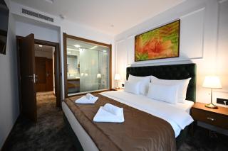 Hotel Tamiš & Spa - Pančevo - 8