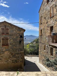Casa Amarina - Olmeto - 6