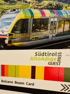 Green View: il verde in città - 9