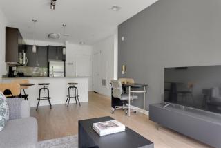 Assembly Row 1br w gym wd nr Assembly T stop BOS-778 - 7