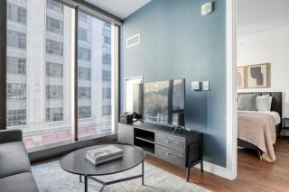 Back Bay 1br w wd gym nr Boston Common BOS-842 - 9