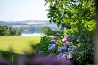 Skanderborg Park - Skanderborg - 3