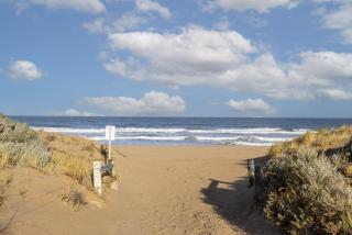 Golden Bay Beach Shack - EXECUTIVE ESCAPES - 6