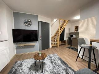 Apartman 4YOU Central station - GARAGE - Self check in - Osijek - 0