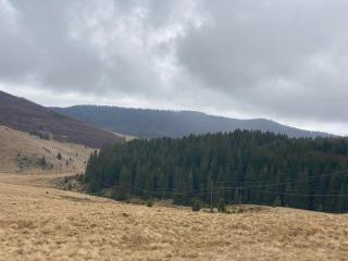 Pensiunea Mountain Pearl - 1