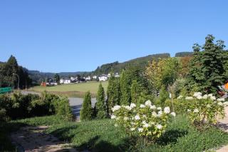 Kleines Glück in Willingen &MeineCardPlus - 3