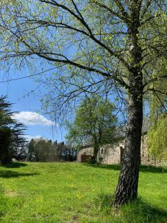 Domaine de la Blanche Hermine - Plounérin - 4